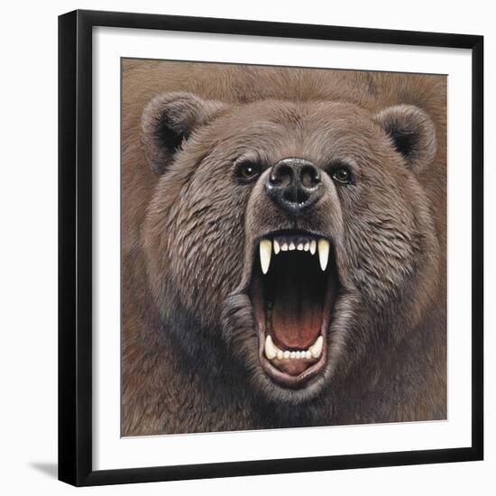 Bear 2-Harro Maass-Framed Giclee Print