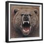 Bear 2-Harro Maass-Framed Giclee Print