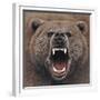 Bear 2-Harro Maass-Framed Giclee Print