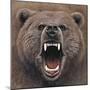 Bear 2-Harro Maass-Mounted Giclee Print