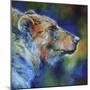 Bear Abstract-Marcia Baldwin-Mounted Giclee Print