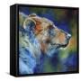 Bear Abstract-Marcia Baldwin-Framed Stretched Canvas