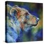 Bear Abstract-Marcia Baldwin-Stretched Canvas