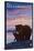 Bear and Cub, West Yellowstone, Montana-Lantern Press-Stretched Canvas