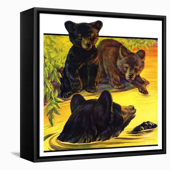 "Bear and Cubs in River,"August 25, 1934-Jack Murray-Framed Stretched Canvas