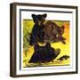 "Bear and Cubs in River,"August 25, 1934-Jack Murray-Framed Giclee Print