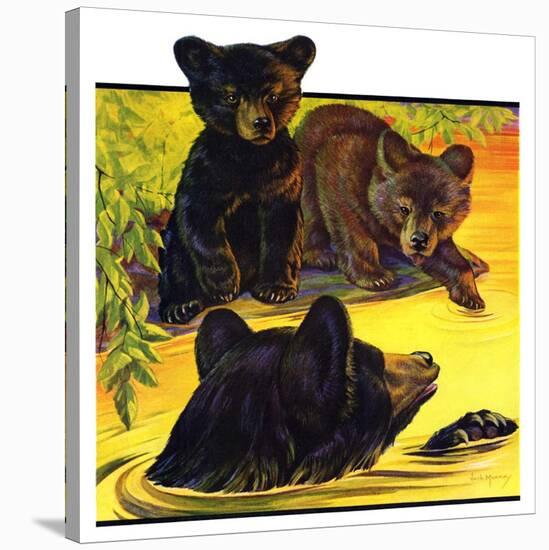 "Bear and Cubs in River,"August 25, 1934-Jack Murray-Stretched Canvas