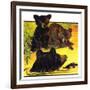 "Bear and Cubs in River,"August 25, 1934-Jack Murray-Framed Giclee Print