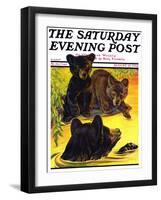 "Bear and Cubs in River," Saturday Evening Post Cover, August 25, 1934-Jack Murray-Framed Giclee Print