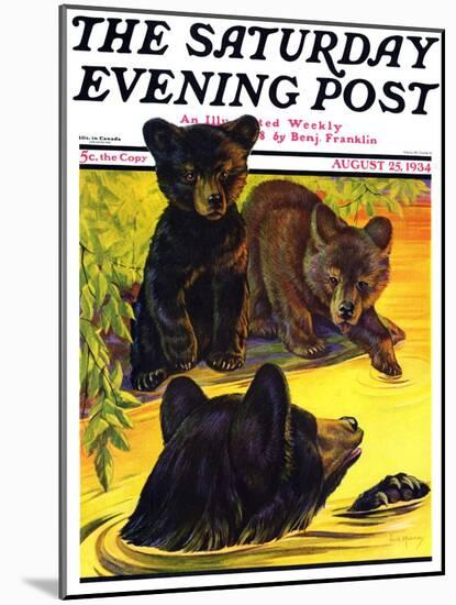 "Bear and Cubs in River," Saturday Evening Post Cover, August 25, 1934-Jack Murray-Mounted Giclee Print