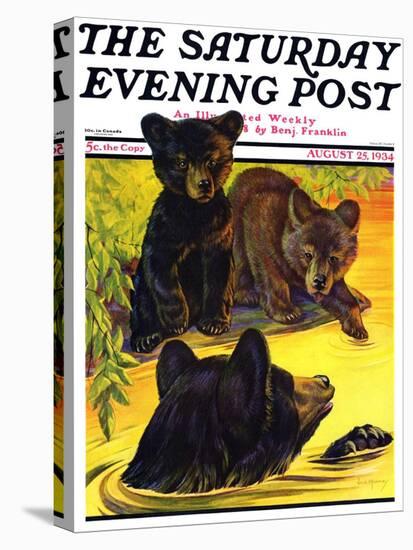 "Bear and Cubs in River," Saturday Evening Post Cover, August 25, 1934-Jack Murray-Stretched Canvas