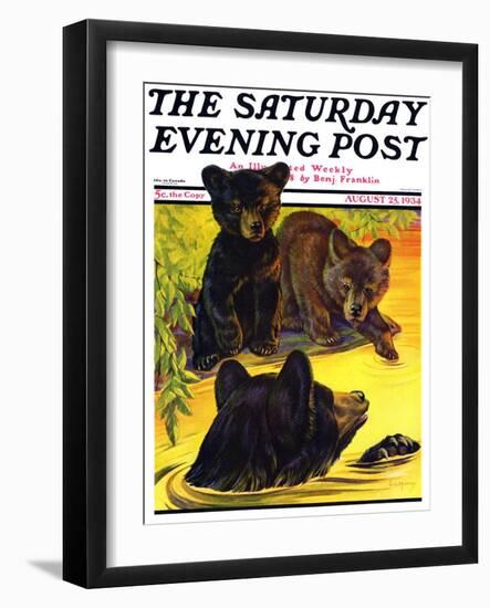 "Bear and Cubs in River," Saturday Evening Post Cover, August 25, 1934-Jack Murray-Framed Premium Giclee Print