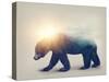 Bear and forest-Elena Schweitzer-Stretched Canvas