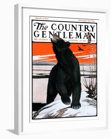 "Bear and Robin Welcome Spring," Country Gentleman Cover, March 14, 1925-Paul Bransom-Framed Giclee Print