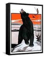 "Bear and Robin Welcome Spring,"March 14, 1925-Paul Bransom-Framed Stretched Canvas