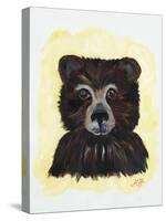 Bear Bear-Julie DeRice-Stretched Canvas
