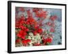 Bear Berry and Blue Berry in Autumn, Denali National Park, Alaska, USA-Darrell Gulin-Framed Photographic Print