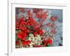 Bear Berry and Blue Berry in Autumn, Denali National Park, Alaska, USA-Darrell Gulin-Framed Photographic Print