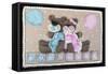 Bear Boy Girl Gender Reveal-null-Framed Stretched Canvas