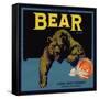 Bear Brand - Ontario, California - Citrus Crate Label-Lantern Press-Framed Stretched Canvas