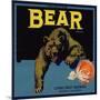 Bear Brand - Ontario, California - Citrus Crate Label-Lantern Press-Mounted Art Print