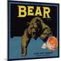 Bear Brand - Ontario, California - Citrus Crate Label-Lantern Press-Mounted Art Print