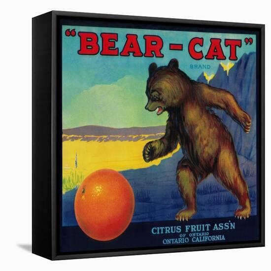 Bear Cat Orange Label - Ontario, CA-Lantern Press-Framed Stretched Canvas