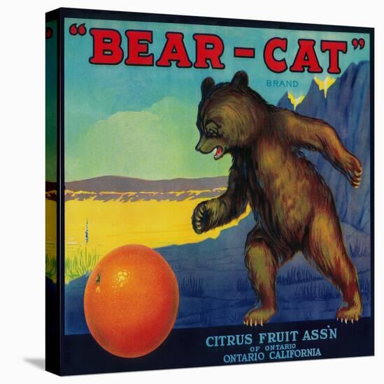 Bear Cat Orange Label - Ontario, CA-Lantern Press-Stretched Canvas