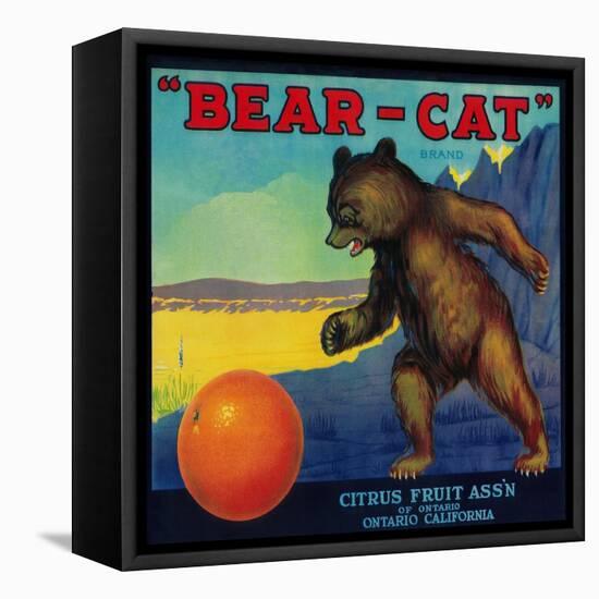 Bear Cat Orange Label - Ontario, CA-Lantern Press-Framed Stretched Canvas