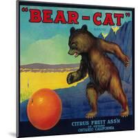 Bear Cat Orange Label - Ontario, CA-Lantern Press-Mounted Art Print