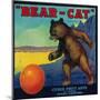 Bear Cat Orange Label - Ontario, CA-Lantern Press-Mounted Art Print