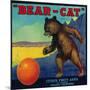 Bear Cat Orange Label - Ontario, CA-Lantern Press-Mounted Art Print