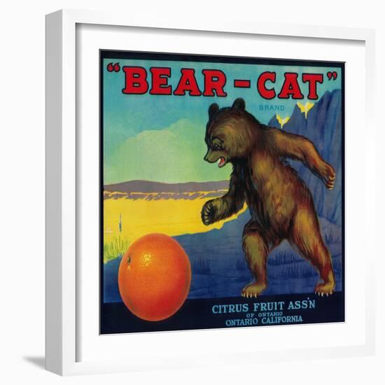 Bear Cat Orange Label - Ontario, CA-Lantern Press-Framed Art Print