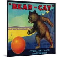 Bear Cat Orange Label - Ontario, CA-Lantern Press-Mounted Art Print
