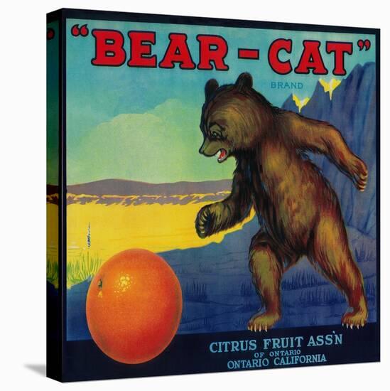 Bear Cat Orange Label - Ontario, CA-Lantern Press-Stretched Canvas