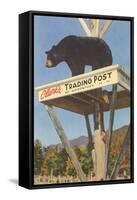 Bear, Clark's Trading Post, Woodstock, New Hampshire-null-Framed Stretched Canvas