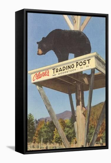 Bear, Clark's Trading Post, Woodstock, New Hampshire-null-Framed Stretched Canvas