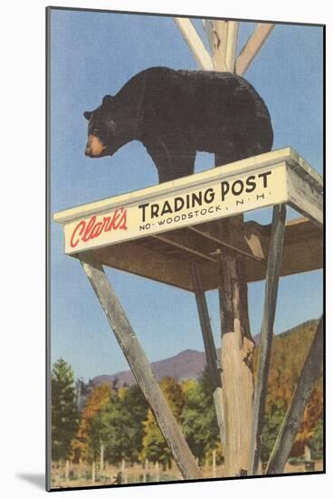 Bear, Clark's Trading Post, Woodstock, New Hampshire-null-Mounted Art Print