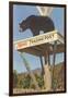 Bear, Clark's Trading Post, Woodstock, New Hampshire-null-Framed Premium Giclee Print