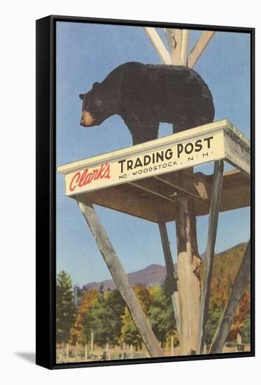 Bear, Clark's Trading Post, Woodstock, New Hampshire-null-Framed Stretched Canvas