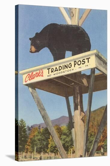 Bear, Clark's Trading Post, Woodstock, New Hampshire-null-Stretched Canvas