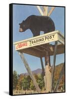 Bear, Clark's Trading Post, Woodstock, New Hampshire-null-Framed Stretched Canvas