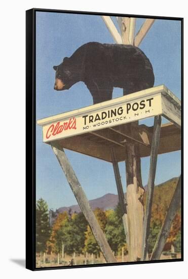 Bear, Clark's Trading Post, Woodstock, New Hampshire-null-Framed Stretched Canvas