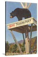 Bear, Clark's Trading Post, Woodstock, New Hampshire-null-Stretched Canvas