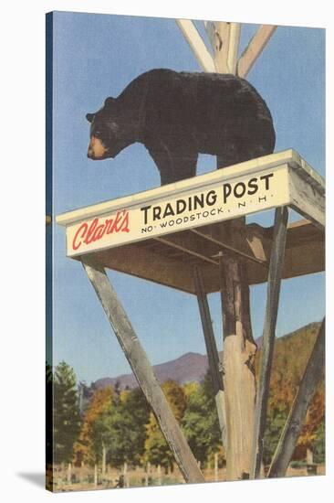 Bear, Clark's Trading Post, Woodstock, New Hampshire-null-Stretched Canvas