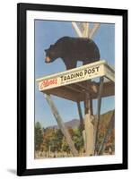 Bear, Clark's Trading Post, Woodstock, New Hampshire-null-Framed Art Print