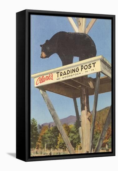 Bear, Clark's Trading Post, Woodstock, New Hampshire-null-Framed Stretched Canvas