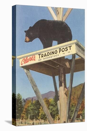 Bear, Clark's Trading Post, Woodstock, New Hampshire-null-Stretched Canvas