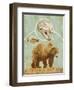 Bear Country-Greg Simanson-Framed Giclee Print