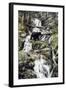 Bear Creek Crossing-Jeff Tift-Framed Giclee Print